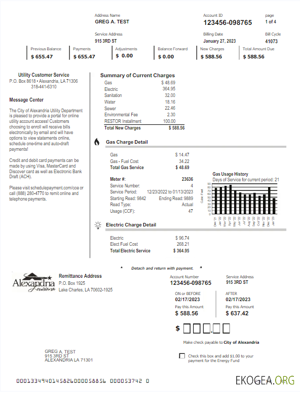 USA ALEXANDRIA utility bill Word and PDF template